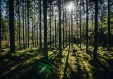 Empresa topográfica de Málaga